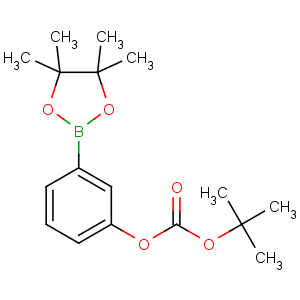CAS No:480438-74-2 tert-butyl [3-(4,4,5,5-tetramethyl-1,3,2-dioxaborolan-2-yl)phenyl]<br />carbonate