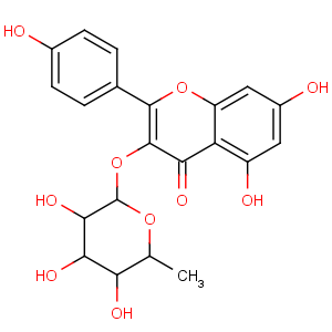 CAS No:482-39-3 5,7-dihydroxy-2-(4-hydroxyphenyl)-3-[(2S,3R,4R,5R,6S)-3,4,<br />5-trihydroxy-6-methyloxan-2-yl]oxychromen-4-one