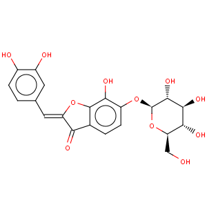 CAS No:490-54-0 3(2H)-Benzofuranone,2-[(3,4-dihydroxyphenyl)methylene]-6-(b-D-glucopyranosyloxy)-7-hydroxy-, (2Z)-