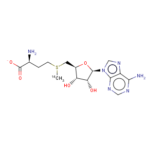 CAS No:4989-98-4 Adenosine,5'-[[(3S)-3-amino-3-carboxypropyl]methyl-14C-sulfonio]-5'-deoxy-, inner salt(9CI)