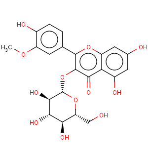 CAS No:5041-82-7 Isorhamnetin-3-O-glucoside
