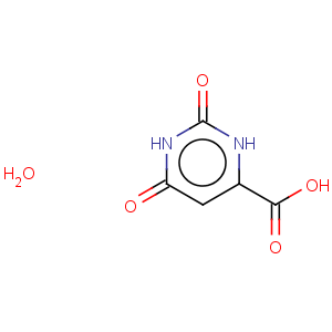 CAS No:50887-69-9 Orotic acid hydrate