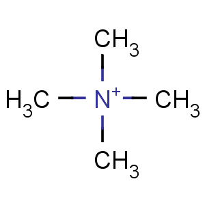 CAS No:51-92-3 tetramethylammonium