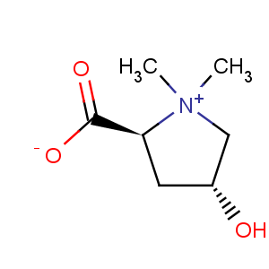 CAS No:515-25-3 Pyrrolidinium,2-carboxy-4-hydroxy-1,1-dimethyl-, inner salt, (2S,4R)-