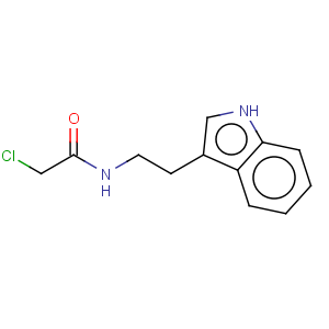 CAS No:52191-26-1 Acetamide,2-chloro-N-[2-(1H-indol-3-yl)ethyl]-
