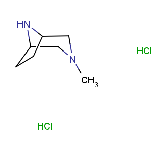 CAS No:52407-92-8 3-methyl-3,8-diazabicyclo[3.2.1]octane