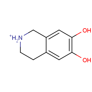 CAS No:52768-23-7 1,2,3,4-tetrahydroisoquinolin-2-ium-6,7-diol