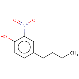 CAS No:52899-59-9 4-butyl-2-nitro-phenol