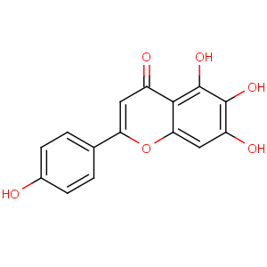 CAS No:529-53-3 5,6,7-trihydroxy-2-(4-hydroxyphenyl)chromen-4-one