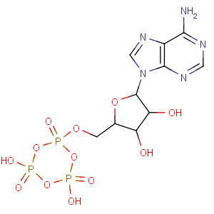 CAS No:53355-60-5 Adenosine,5'-O-(4,6-dihydroxy-2,4,6-trioxido-1,3,5,2,4,6-trioxatriphosphorinan-2-yl)-