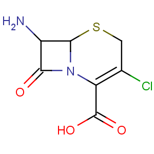 CAS No:53994-69-7 7-Amino-3-Chloro-3-Cephem-4-Carboxylic Acid