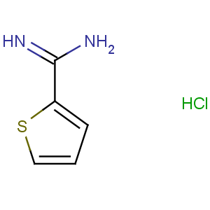 CAS No:54610-70-7 thiophene-2-carboximidamide