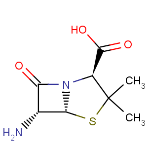 CAS No:551-16-6 6-Aminopenicillanic acid