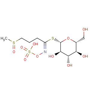 CAS No:554-88-1 b-D-Glucopyranose, 1-thio-,1-[4-(methylsulfinyl)-N-(sulfooxy)butanimidate]