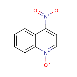 CAS No:56-57-5 4-nitro-1-oxidoquinolin-1-ium