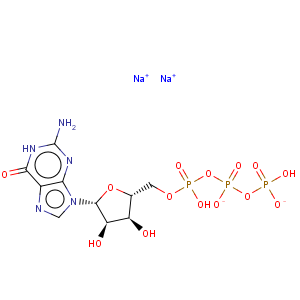 CAS No:56001-37-7 Guanosine-5'-triphosphoric acid disodium salt