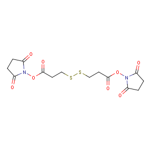 CAS No:57757-57-0 (2,5-dioxopyrrolidin-1-yl)<br />3-[[3-(2,5-dioxopyrrolidin-1-yl)oxy-3-oxopropyl]disulfanyl]propanoate