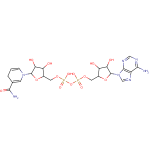 CAS No:58-68-4 Adenosine5'-(trihydrogen diphosphate), P'®