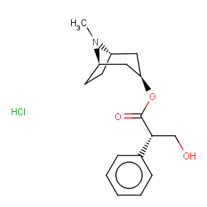 CAS No:5934-50-9 Benzeneacetic acid, a-(hydroxymethyl)-,(3-endo)-8-methyl-8-azabicyclo[3.2.1]oct-3-yl ester, hydrochloride (1:1), (aS)-