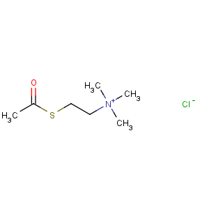 CAS No:6050-81-3 2-acetylsulfanylethyl(trimethyl)azanium