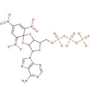 CAS No:61368-63-6 Adenosine5'-(tetrahydrogen triphosphate),2',3'-O-(2,4,6-trinitro-2,4-cyclohexadien-1-ylidene)-, ion(5-)