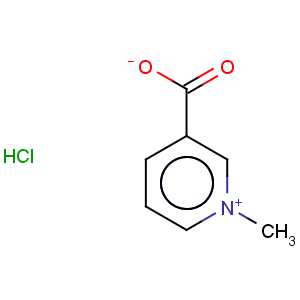 CAS No:6138-41-6 Trigonelline hydrochloride