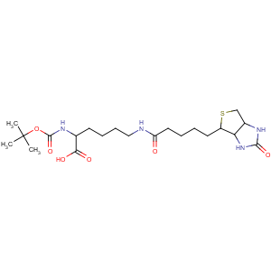 CAS No:62062-43-5 (2S)-6-[5-[(3aS,4S,6aR)-2-oxo-1,3,3a,4,6,6a-hexahydrothieno[3,<br />4-d]imidazol-4-yl]pentanoylamino]-2-[(2-methylpropan-2-yl)<br />oxycarbonylamino]hexanoic acid