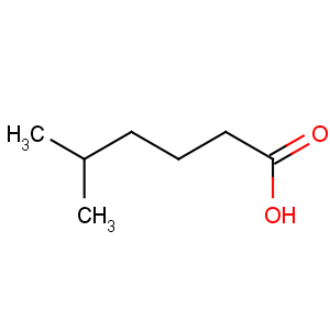 CAS No:628-46-6 5-methylhexanoic acid
