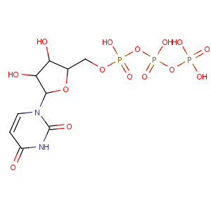 CAS No:63-39-8 [[(2R,3S,4R,5R)-5-(2,4-dioxopyrimidin-1-yl)-3,<br />4-dihydroxyoxolan-2-yl]methoxy-hydroxyphosphoryl] phosphono hydrogen<br />phosphate