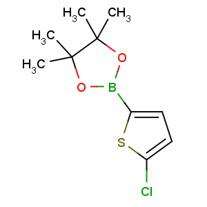 CAS No:635305-24-7 2-(5-chlorothiophen-2-yl)-4,4,5,5-tetramethyl-1,3,2-dioxaborolane