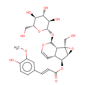 CAS No:64461-95-6 b-D-Glucopyranoside,(1aS,1bS,2S,5aR,6S,6aS)-1a,1b,2,5a,6,6a-hexahydro-6-hydroxy-1a-(hydroxymethyl)oxireno[4,5]cyclopenta[1,2-c]pyran-2-yl,6-[(2E)-3-(4-hydroxy-3-methoxyphenyl)-2-propenoate]