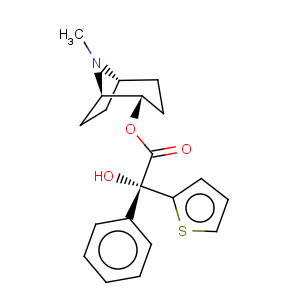 CAS No:64471-15-4 2-Thiopheneacetic acid,a-hydroxy-a-phenyl-,8-methyl-8-azabicyclo[3.2.1]oct-2-yl ester, [1R-[1a,2b(R*),5a]]- (9CI)