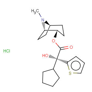 CAS No:64471-32-5 2-Thiopheneacetic acid,a-cyclopentyl-a-hydroxy-,8-methyl-8-azabicyclo[3.2.1]oct-2-yl ester, hydrochloride, [1S-[1a,2a(S*),5a]]- (9CI)