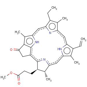 CAS No:6453-67-4 Pyropheophorbide-alpha methyl ester