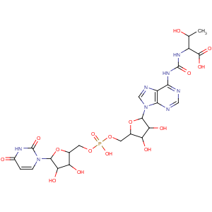 CAS No:66004-53-3 Adenosine, uridylyl-(3'®