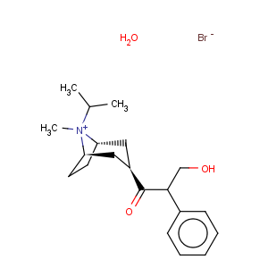CAS No:66985-17-9 Ipratropium bromide