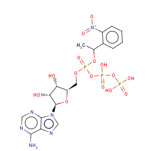 CAS No:67030-27-7 Adenosine5'-(tetrahydrogen triphosphate), P''-[1-(2-nitrophenyl)ethyl] ester (9CI)