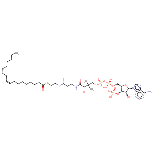 CAS No:6709-57-5 Coenzyme A,S-(9Z,12Z)-9,12-octadecadienoate