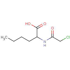 CAS No:67206-26-2 2-[(2-chloroacetyl)amino]hexanoic acid