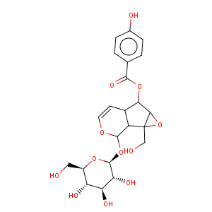 CAS No:6736-85-2 b-D-Glucopyranoside,(1aS,1bS,2S,5aR,6S,6aS)-1a,1b,2,5a,6,6a-hexahydro-6-[(4-hydroxybenzoyl)oxy]-1a-(hydroxymethyl)oxireno[4,5]cyclopenta[1,2-c]pyran-2-yl