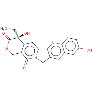 CAS No:67656-30-8 10-Hydroxycamptothecin