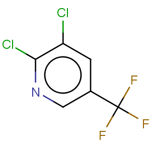 CAS No:69645-84-7 2,3-Dichloro-5-Trifluoromethyl Pyridine