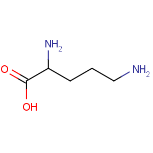 CAS No:70-26-8 (2S)-2,5-diaminopentanoic acid