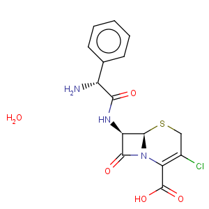 CAS No:70356-03-5 Cefaclor monohydrate