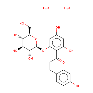CAS No:7061-54-3 Phlorizin dihydrate