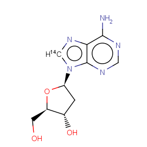 CAS No:7074-96-6 2'-Deoxyadenosine-8-14C