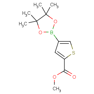 CAS No:709648-80-6 methyl<br />4-(4,4,5,5-tetramethyl-1,3,2-dioxaborolan-2-yl)thiophene-2-carboxylate