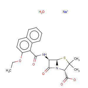 CAS No:7177-50-6 Nafcillin sodium salt monohydrate