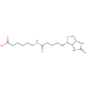 CAS No:72040-64-3 Hexanoic acid,6-[[5-[(3aS,4S,6aR)-hexahydro-2-oxo-1H-thieno[3,4-d]imidazol-4-yl]-1-oxopentyl]amino]-