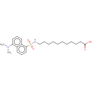 CAS No:73025-02-2 Undecanoic acid,11-[[[5-(dimethylamino)-1-naphthalenyl]sulfonyl]amino]-